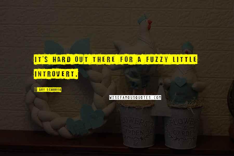 Amy Schumer Quotes: It's hard out there for a fuzzy little introvert.