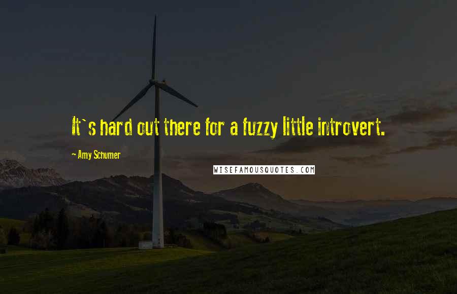 Amy Schumer Quotes: It's hard out there for a fuzzy little introvert.