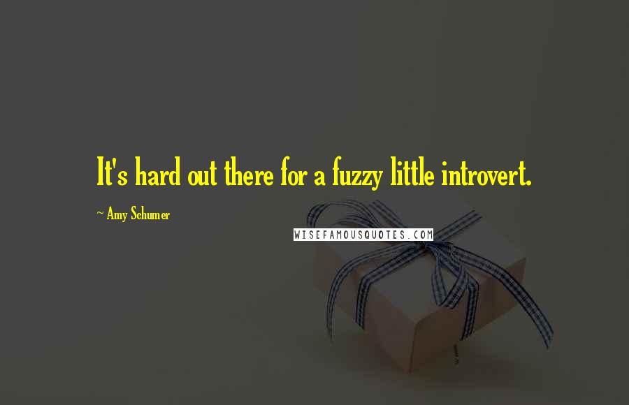 Amy Schumer Quotes: It's hard out there for a fuzzy little introvert.