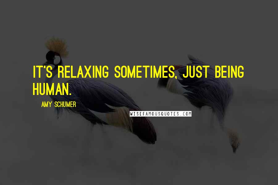 Amy Schumer Quotes: It's relaxing sometimes, just being human.