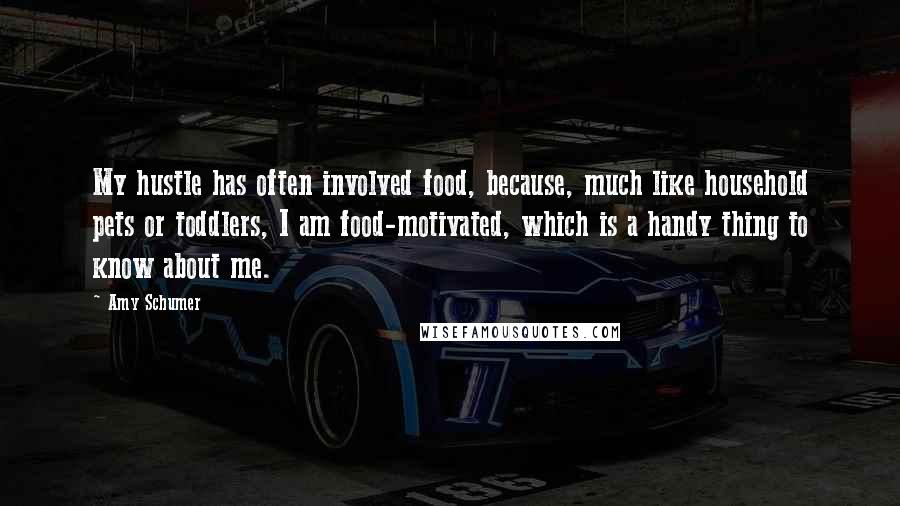 Amy Schumer Quotes: My hustle has often involved food, because, much like household pets or toddlers, I am food-motivated, which is a handy thing to know about me.