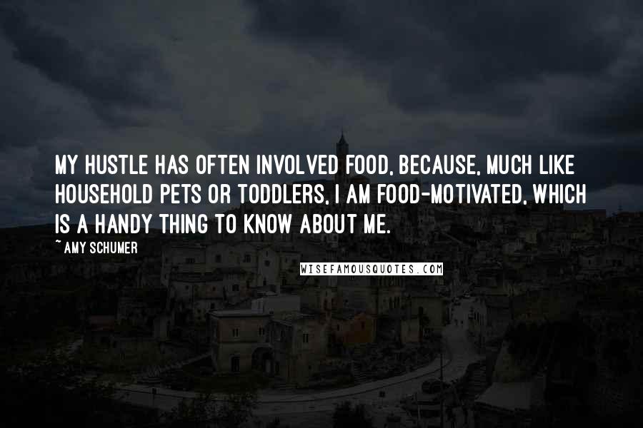 Amy Schumer Quotes: My hustle has often involved food, because, much like household pets or toddlers, I am food-motivated, which is a handy thing to know about me.