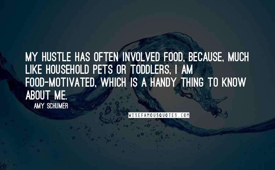 Amy Schumer Quotes: My hustle has often involved food, because, much like household pets or toddlers, I am food-motivated, which is a handy thing to know about me.