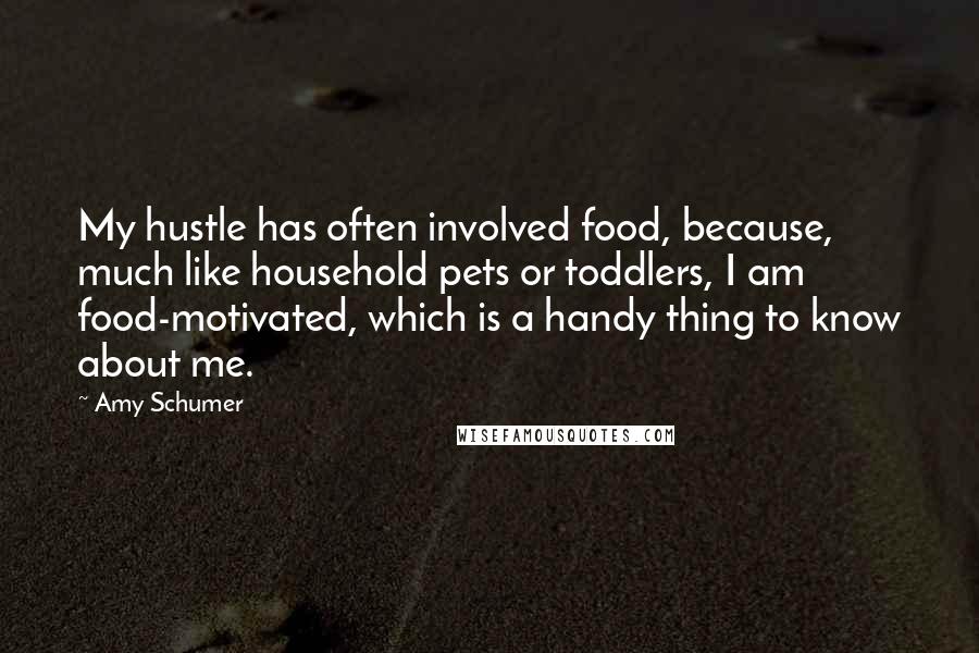 Amy Schumer Quotes: My hustle has often involved food, because, much like household pets or toddlers, I am food-motivated, which is a handy thing to know about me.