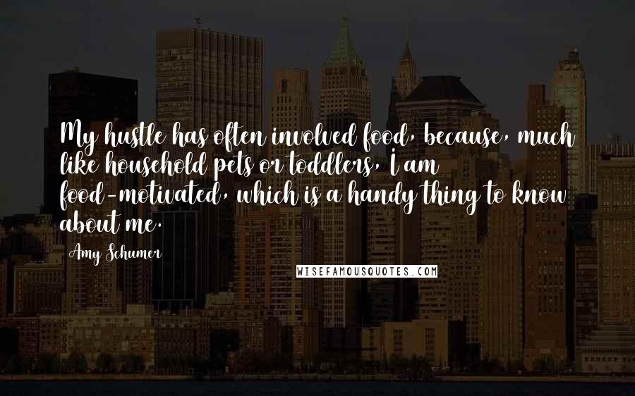 Amy Schumer Quotes: My hustle has often involved food, because, much like household pets or toddlers, I am food-motivated, which is a handy thing to know about me.