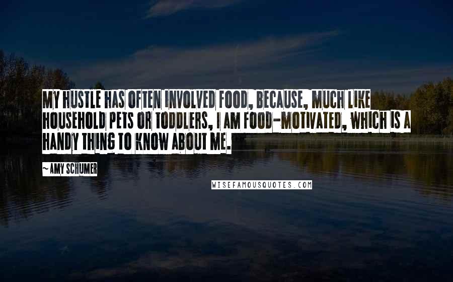 Amy Schumer Quotes: My hustle has often involved food, because, much like household pets or toddlers, I am food-motivated, which is a handy thing to know about me.