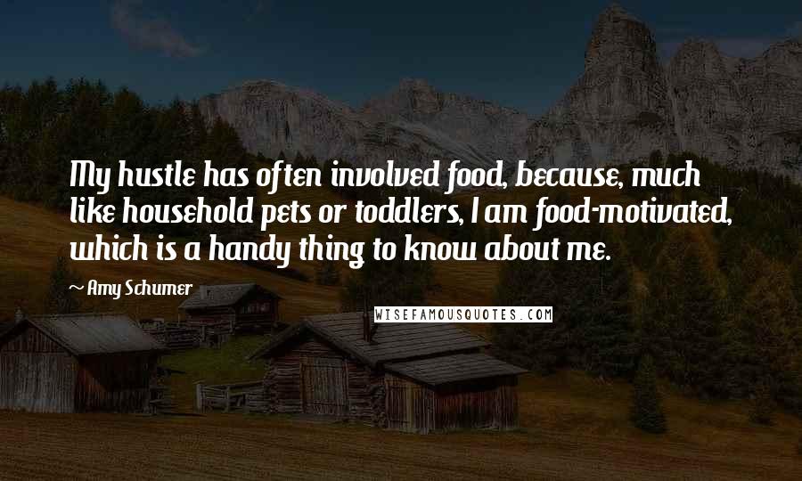 Amy Schumer Quotes: My hustle has often involved food, because, much like household pets or toddlers, I am food-motivated, which is a handy thing to know about me.