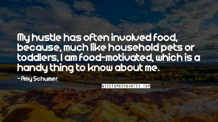 Amy Schumer Quotes: My hustle has often involved food, because, much like household pets or toddlers, I am food-motivated, which is a handy thing to know about me.