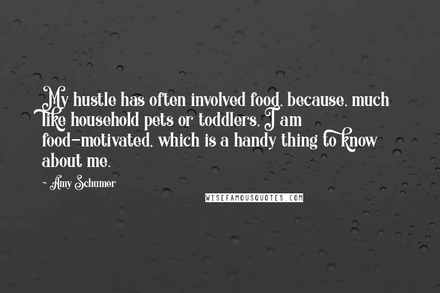 Amy Schumer Quotes: My hustle has often involved food, because, much like household pets or toddlers, I am food-motivated, which is a handy thing to know about me.