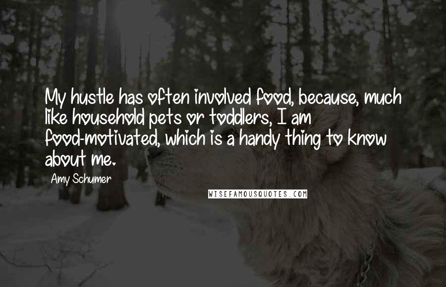 Amy Schumer Quotes: My hustle has often involved food, because, much like household pets or toddlers, I am food-motivated, which is a handy thing to know about me.