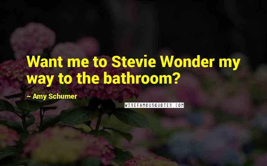 Amy Schumer Quotes: Want me to Stevie Wonder my way to the bathroom?