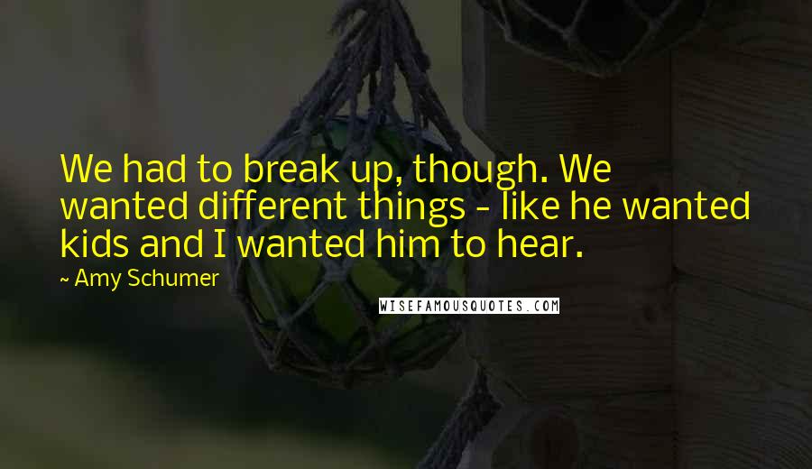 Amy Schumer Quotes: We had to break up, though. We wanted different things - like he wanted kids and I wanted him to hear.