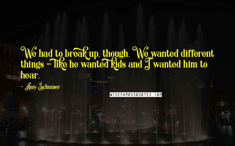 Amy Schumer Quotes: We had to break up, though. We wanted different things - like he wanted kids and I wanted him to hear.