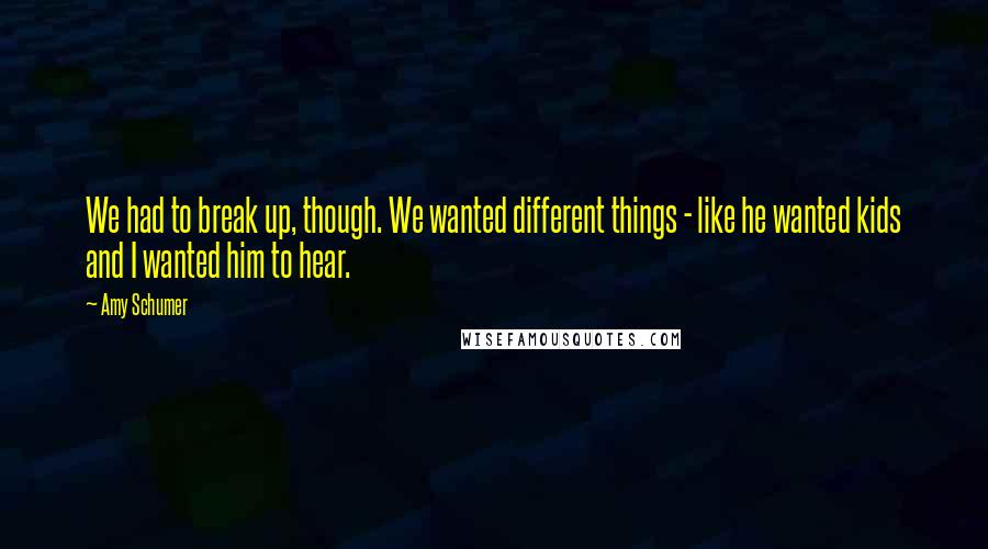 Amy Schumer Quotes: We had to break up, though. We wanted different things - like he wanted kids and I wanted him to hear.