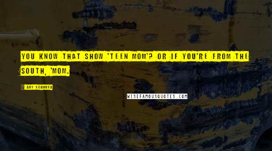 Amy Schumer Quotes: You know that show 'Teen Mom'? Or if you're from the South, 'Mom.