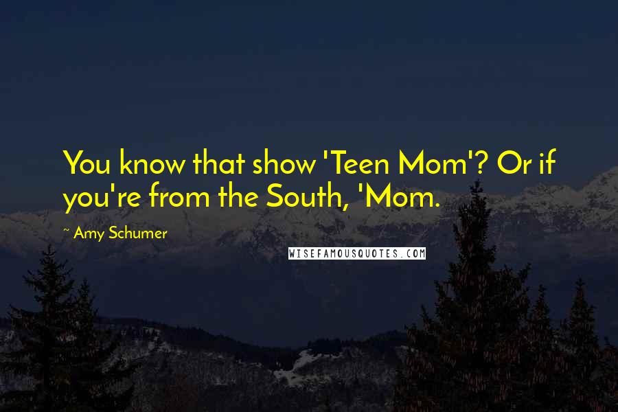 Amy Schumer Quotes: You know that show 'Teen Mom'? Or if you're from the South, 'Mom.