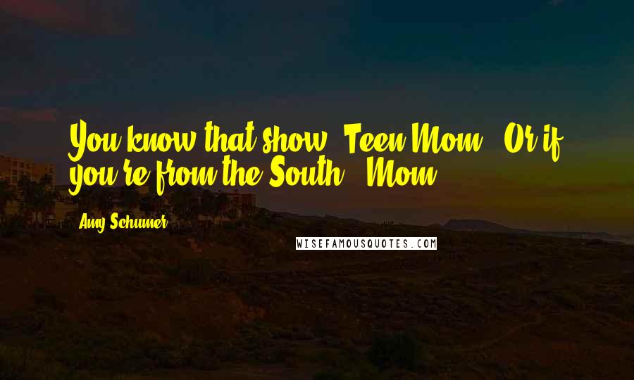 Amy Schumer Quotes: You know that show 'Teen Mom'? Or if you're from the South, 'Mom.
