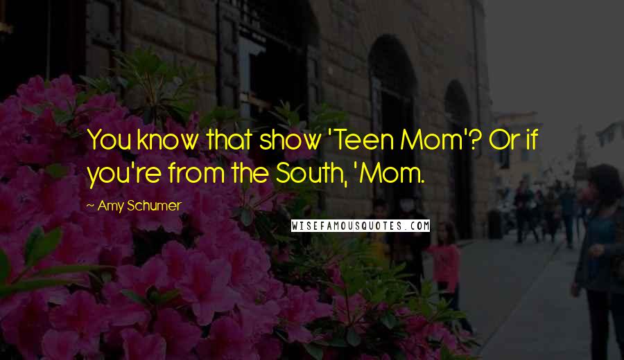 Amy Schumer Quotes: You know that show 'Teen Mom'? Or if you're from the South, 'Mom.