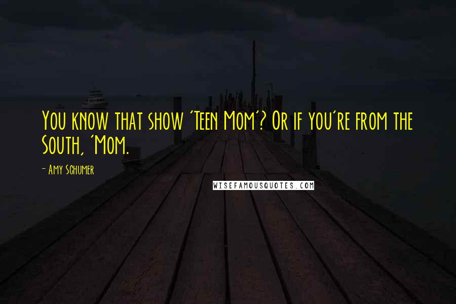 Amy Schumer Quotes: You know that show 'Teen Mom'? Or if you're from the South, 'Mom.