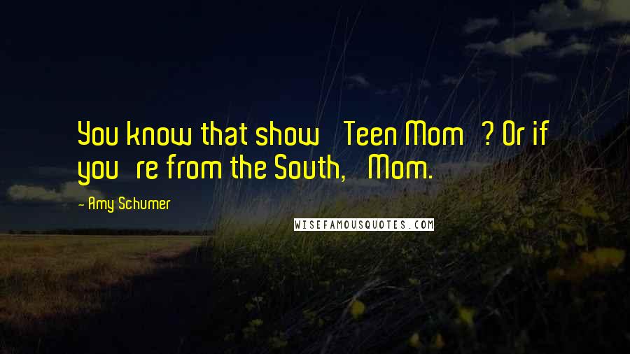 Amy Schumer Quotes: You know that show 'Teen Mom'? Or if you're from the South, 'Mom.
