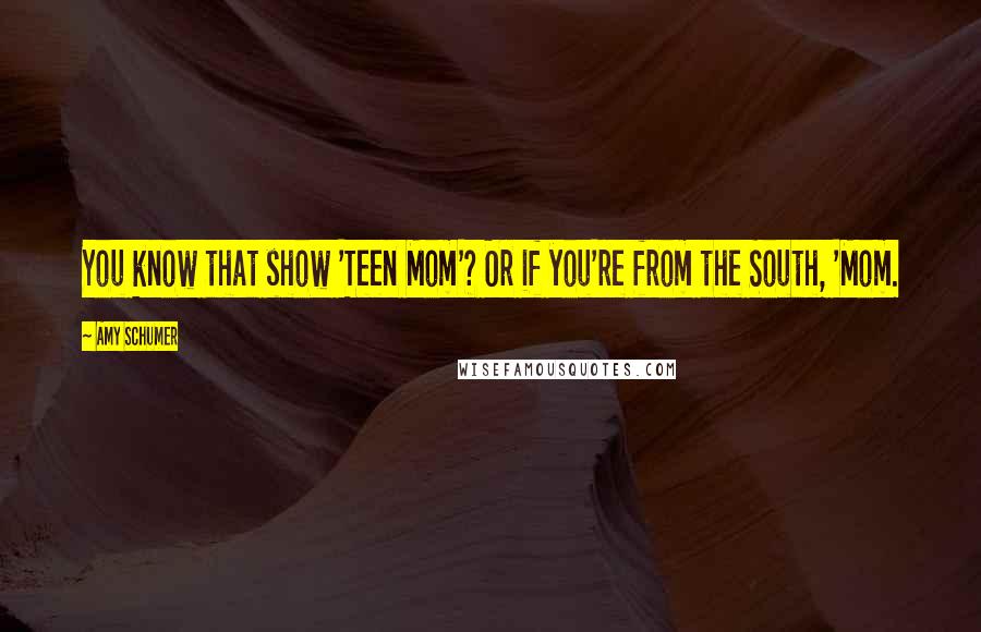 Amy Schumer Quotes: You know that show 'Teen Mom'? Or if you're from the South, 'Mom.