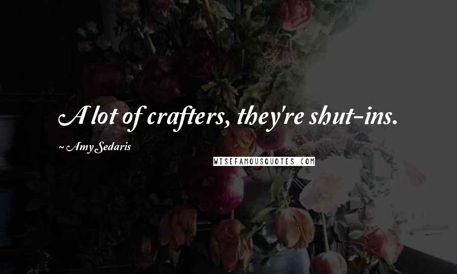 Amy Sedaris Quotes: A lot of crafters, they're shut-ins.