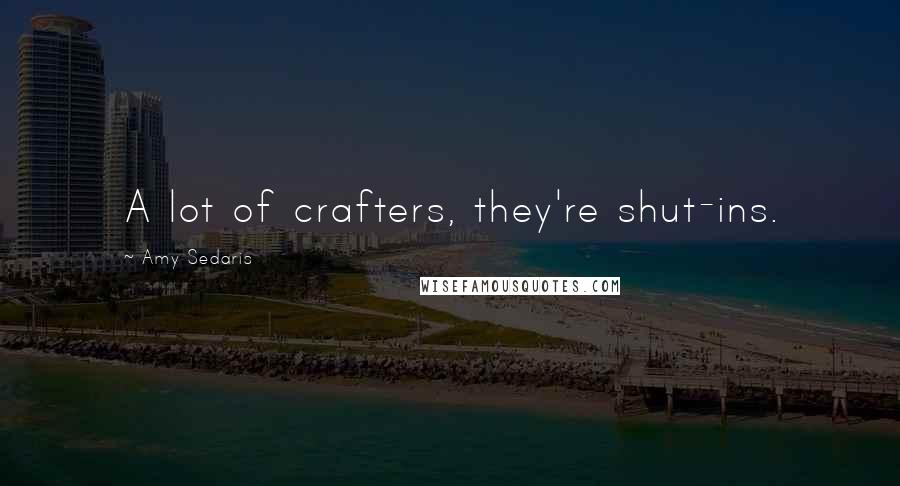 Amy Sedaris Quotes: A lot of crafters, they're shut-ins.