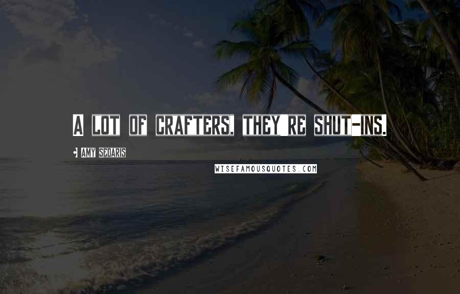 Amy Sedaris Quotes: A lot of crafters, they're shut-ins.