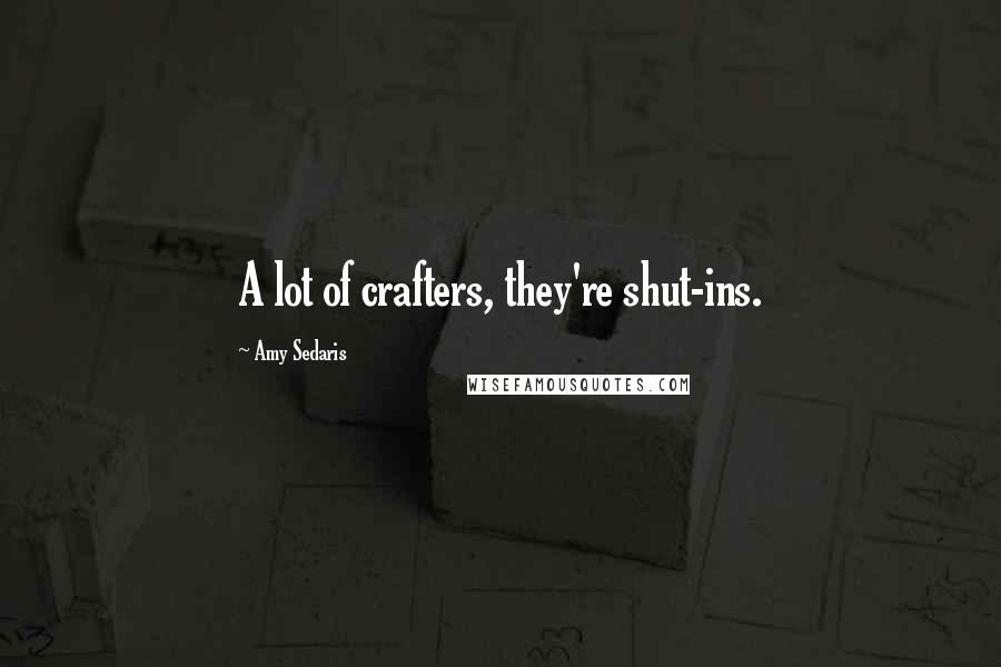 Amy Sedaris Quotes: A lot of crafters, they're shut-ins.