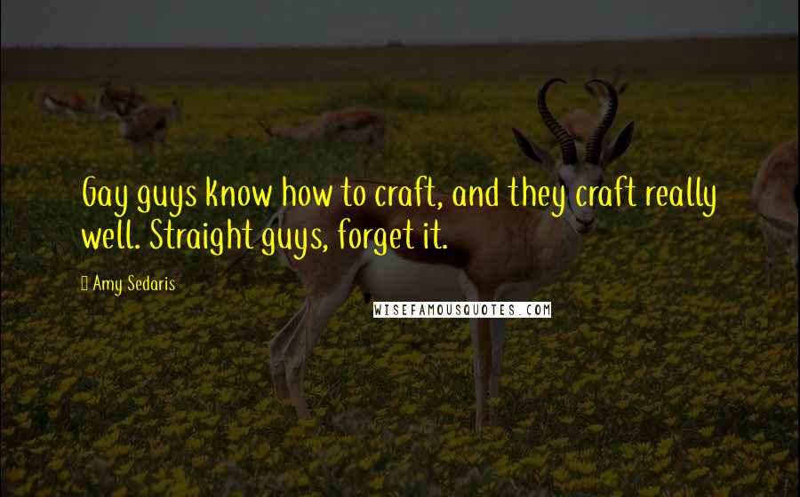 Amy Sedaris Quotes: Gay guys know how to craft, and they craft really well. Straight guys, forget it.