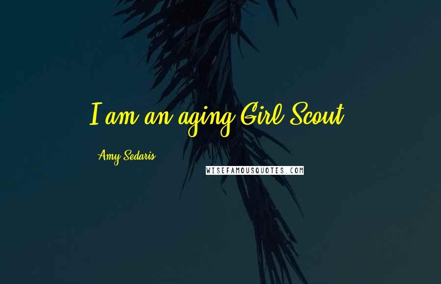 Amy Sedaris Quotes: I am an aging Girl Scout.