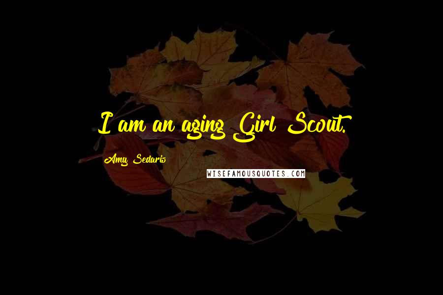 Amy Sedaris Quotes: I am an aging Girl Scout.