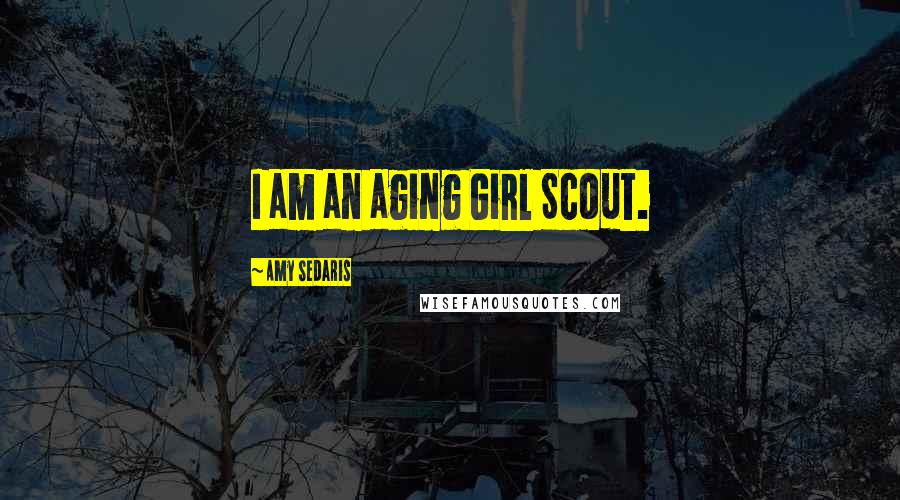 Amy Sedaris Quotes: I am an aging Girl Scout.