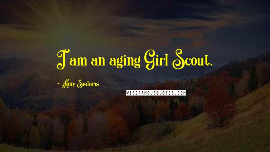 Amy Sedaris Quotes: I am an aging Girl Scout.