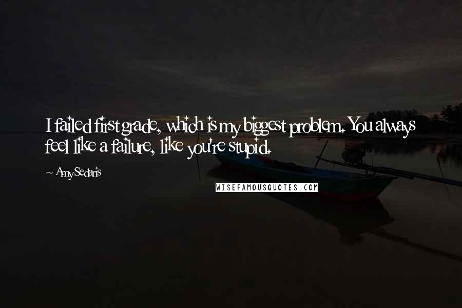 Amy Sedaris Quotes: I failed first grade, which is my biggest problem. You always feel like a failure, like you're stupid.