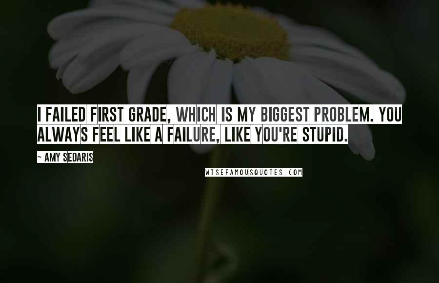Amy Sedaris Quotes: I failed first grade, which is my biggest problem. You always feel like a failure, like you're stupid.