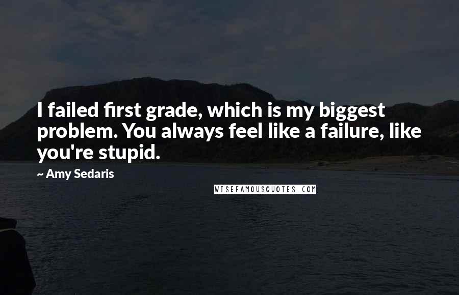 Amy Sedaris Quotes: I failed first grade, which is my biggest problem. You always feel like a failure, like you're stupid.