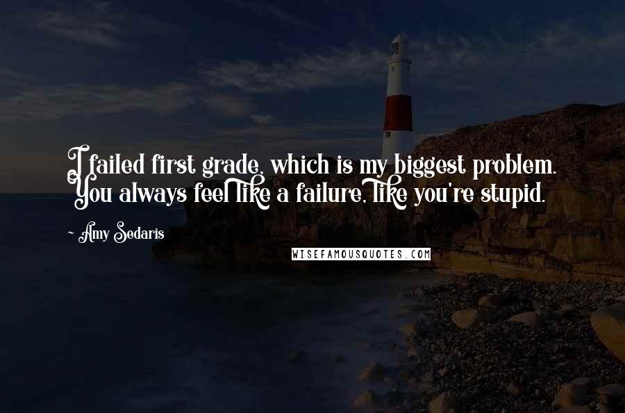 Amy Sedaris Quotes: I failed first grade, which is my biggest problem. You always feel like a failure, like you're stupid.