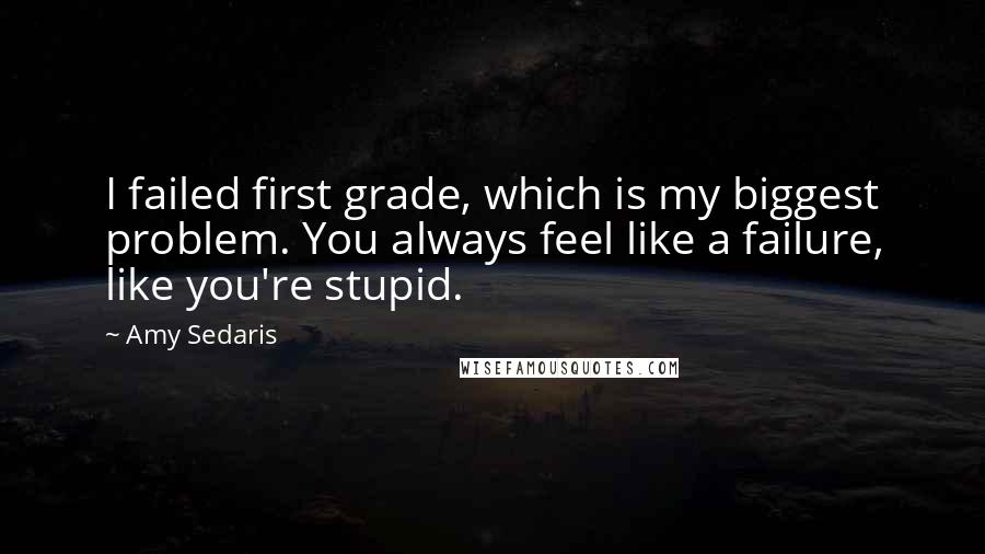 Amy Sedaris Quotes: I failed first grade, which is my biggest problem. You always feel like a failure, like you're stupid.