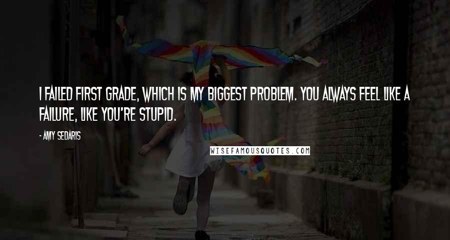 Amy Sedaris Quotes: I failed first grade, which is my biggest problem. You always feel like a failure, like you're stupid.