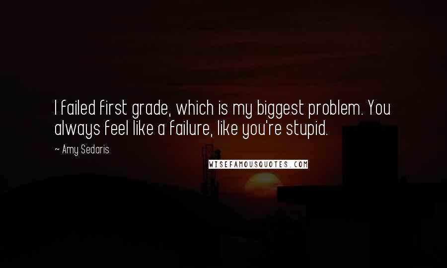 Amy Sedaris Quotes: I failed first grade, which is my biggest problem. You always feel like a failure, like you're stupid.