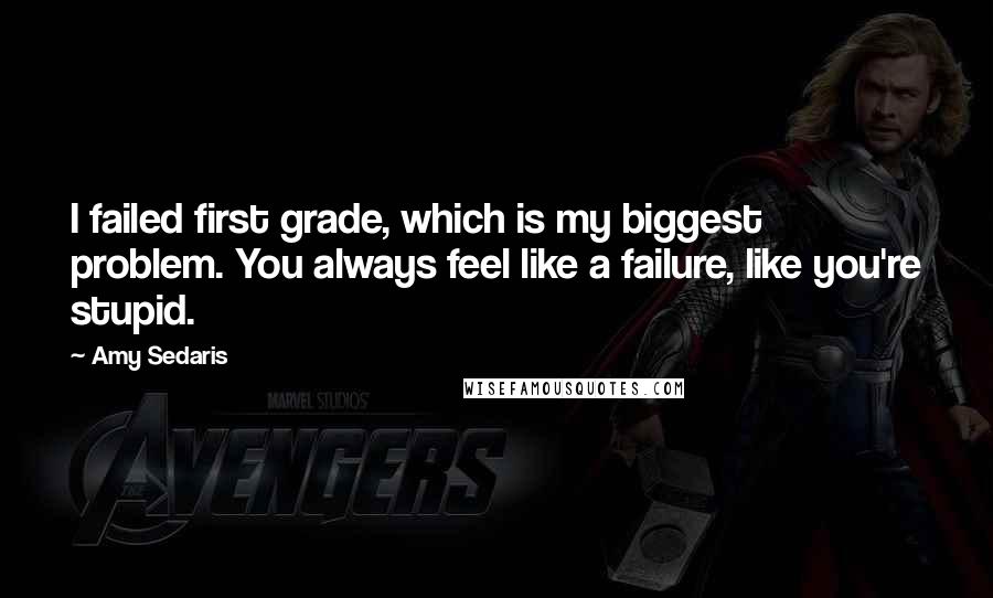 Amy Sedaris Quotes: I failed first grade, which is my biggest problem. You always feel like a failure, like you're stupid.