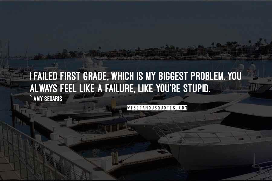 Amy Sedaris Quotes: I failed first grade, which is my biggest problem. You always feel like a failure, like you're stupid.