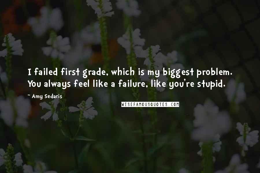 Amy Sedaris Quotes: I failed first grade, which is my biggest problem. You always feel like a failure, like you're stupid.