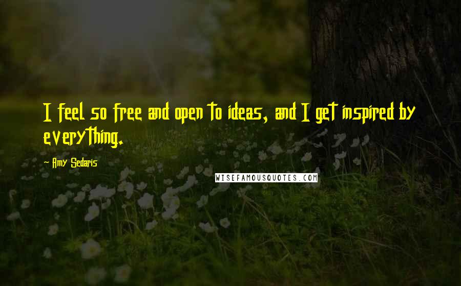 Amy Sedaris Quotes: I feel so free and open to ideas, and I get inspired by everything.