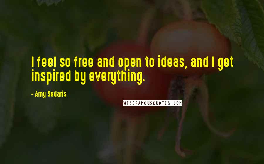 Amy Sedaris Quotes: I feel so free and open to ideas, and I get inspired by everything.