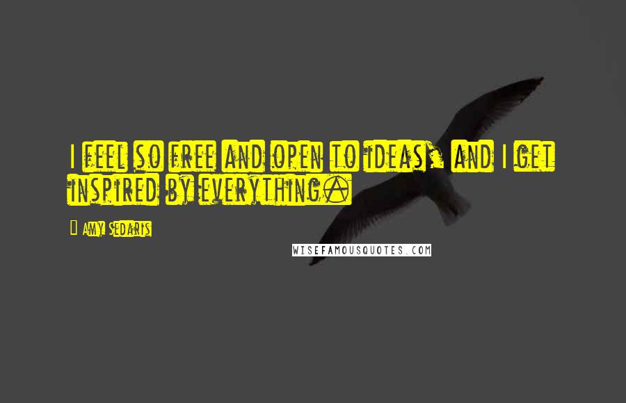 Amy Sedaris Quotes: I feel so free and open to ideas, and I get inspired by everything.