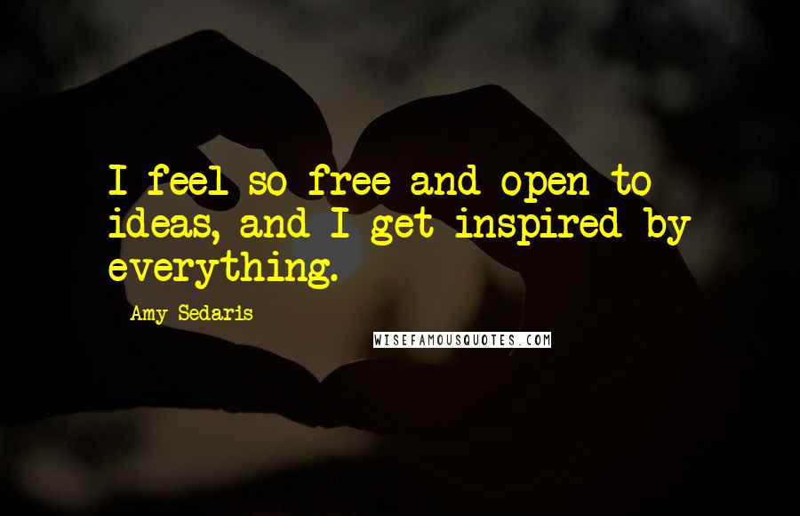 Amy Sedaris Quotes: I feel so free and open to ideas, and I get inspired by everything.