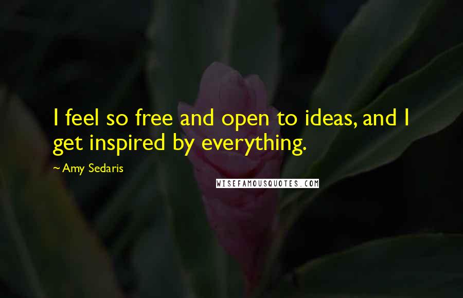 Amy Sedaris Quotes: I feel so free and open to ideas, and I get inspired by everything.