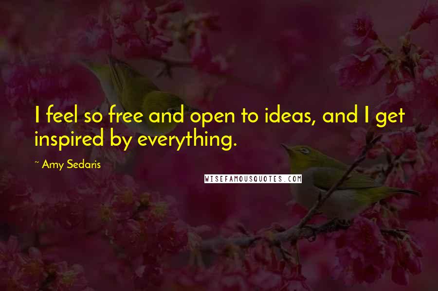 Amy Sedaris Quotes: I feel so free and open to ideas, and I get inspired by everything.